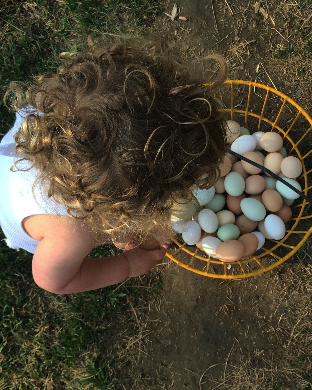 backyard-hens-kids-ig-1