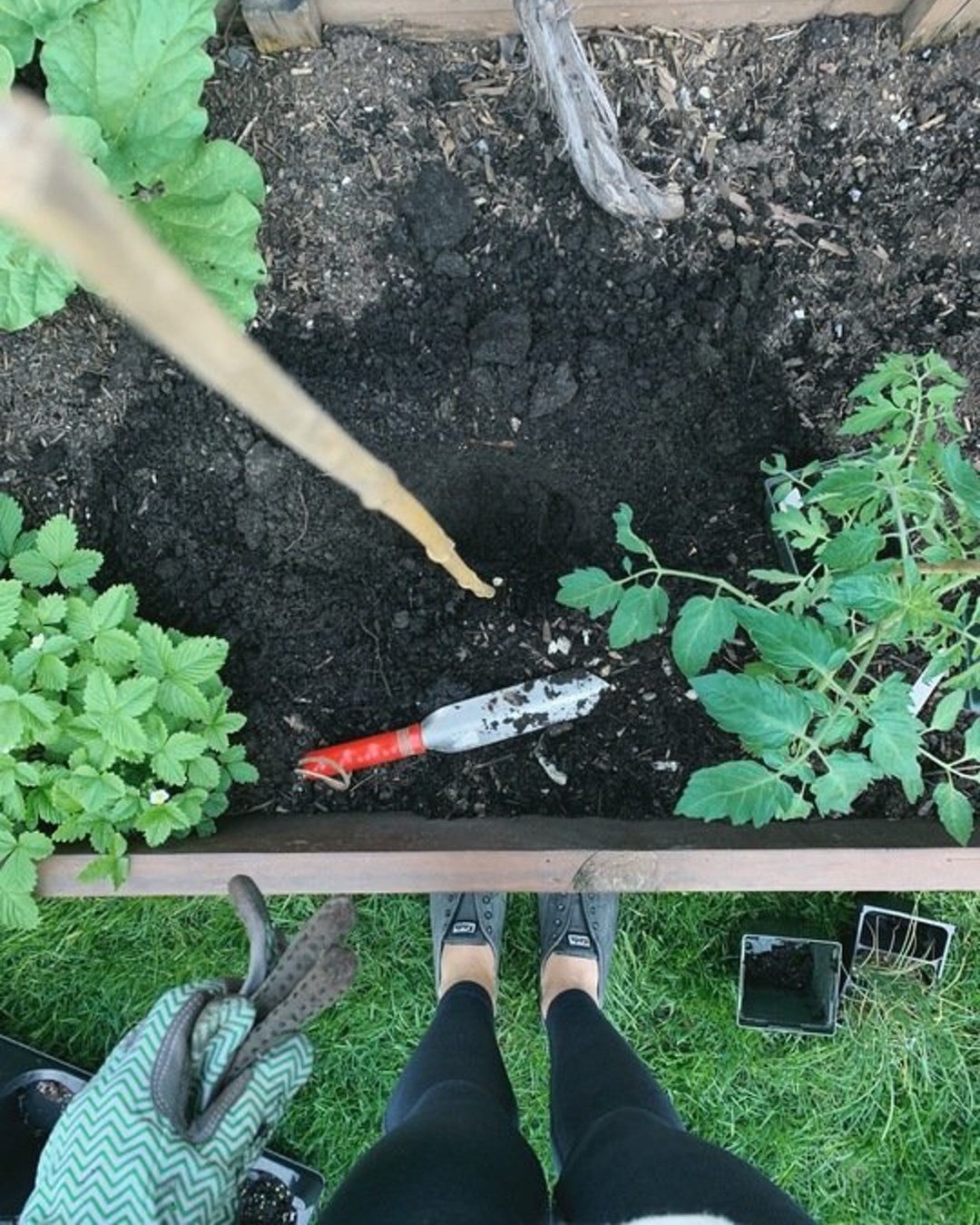 plant-tomatoes-stake